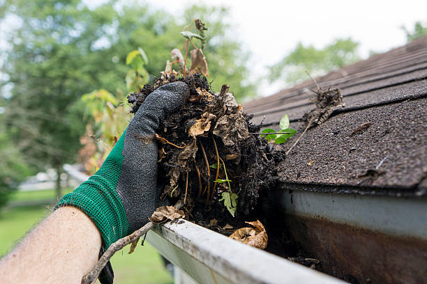 Trusted Roof Cleaning and Gutter Care